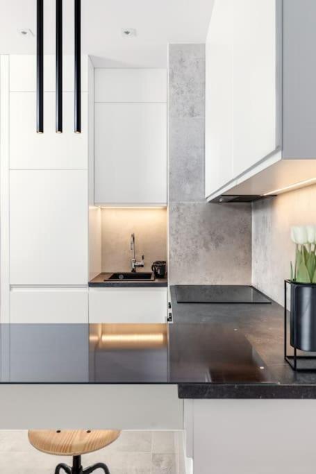 קרקוב Deluxe Apartment In City Center, Steam Park מראה חיצוני תמונה
